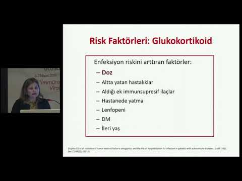 69 hepatit virusleri