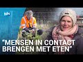 Groenten uit de achtertuin: stadsboerderij Wickevoort