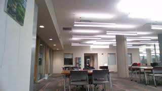 Write Along: UofL Writing and Research Group