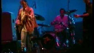 Neil Young - Scenery pt2 (Salzburg, 1995)