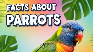 Did You Know Parrots Can Talk? | Educational Videos for Children | Birds