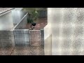 A Brief Thunderstorm Part 1