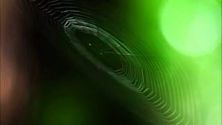 32 Sons of Korah Psalm 32 Forgiven