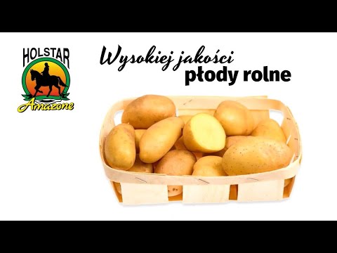 Holstar Sp. z o.o. - video