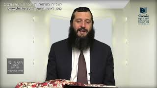 הדף היומי ירושלמי מסכת שביעית דף סה