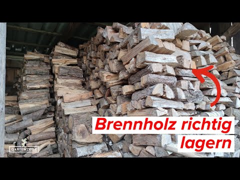 Brennholz richtig lagern - Darauf solltest du achten! Vermeide diese FEHLER beim Feuerholz trocknen!