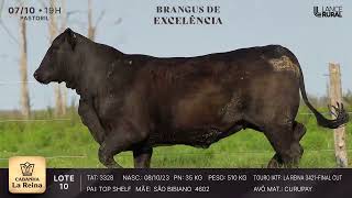 LOTE 10  3328