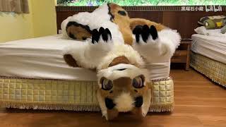 Cover art for gay furries 2