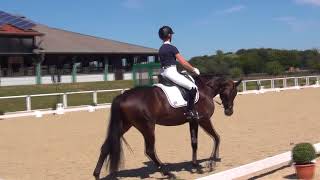 Helen Langehanenberg retrouve Candy OLD