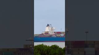 MSC Dubai VII #containership #msccargo #cadiz #ship #buque #port #cadizport #portacontenedores