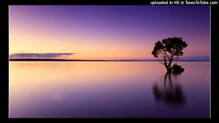 Common - Electric Circus - 09 - I Got A Right Ta (feat. Pharell Williams)