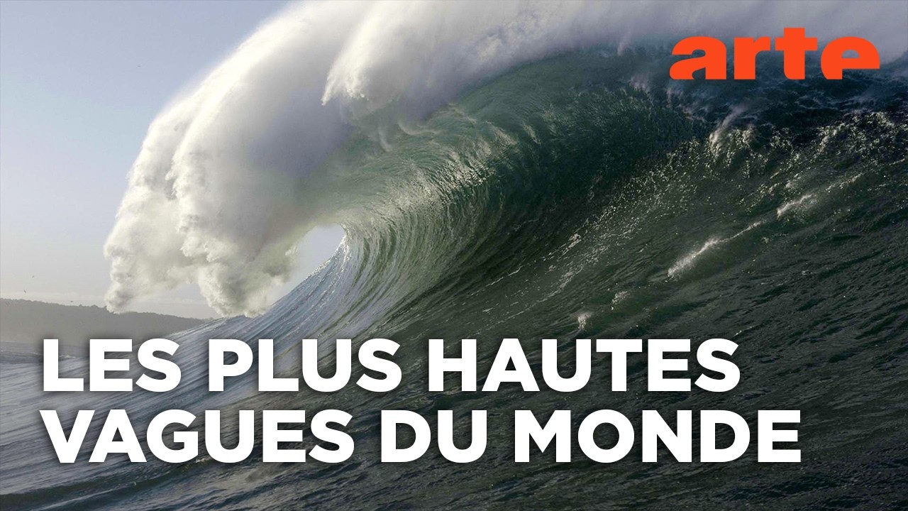 Chasseurs de grosses vagues | Le grand show de la nature | ARTE