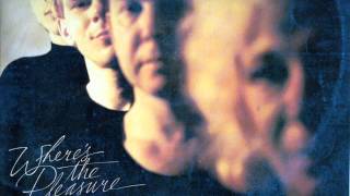 poison girls where's the pleasure