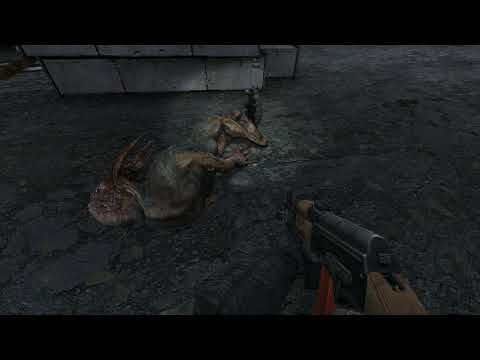 Why I love S.T.A.L.K.E.R. #146 - zone life cycle