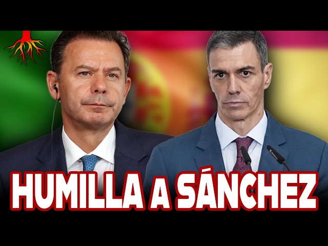 Vídeo relacionado con GAS de PUERTA Masticar la raíz el Original de Portugal- Talla S