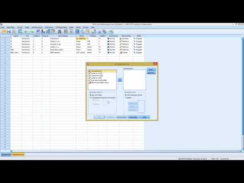 SPSS - Chi Quadrat Test