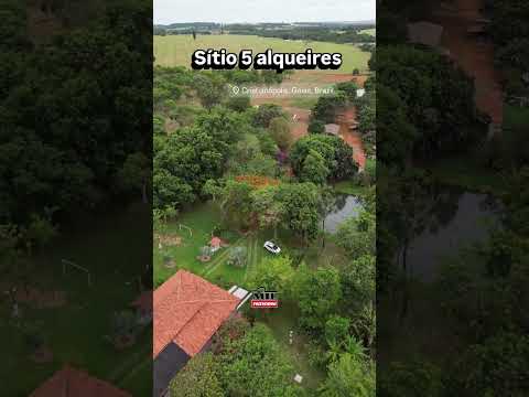 Sítio 5 alqueires ( 24.2 ha) entre Bela Vista de Goiás e Cristianopolis #sitio #sitioavenda #agro