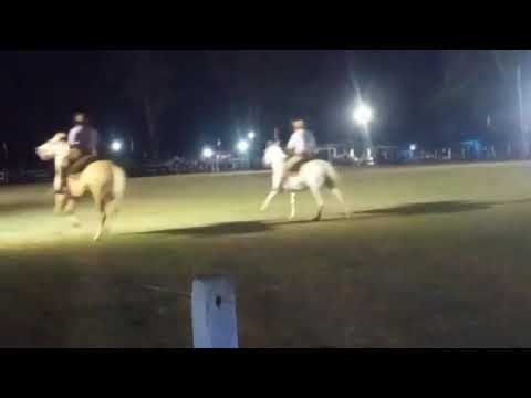 Jinetedas en vacunos - Festival de Doma y Folklore - Plácido Rosas, Cerro Largo 07/02/2026