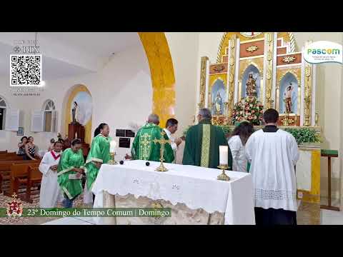 23º Domingo do Tempo Comum | Domingo