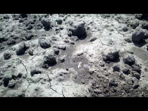 Agyagos vályog talaj szerkezet vizsgálata ásógépes alapművelést követően