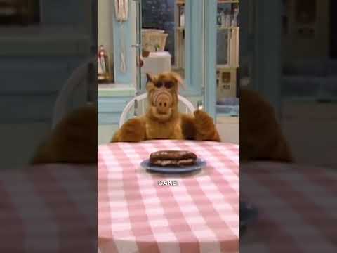 Don't get in between ALF & his dessert! 🎂