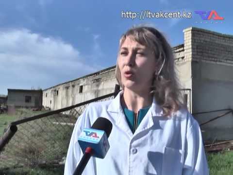 Выпуск программы «День» от 12 мая 2017г.