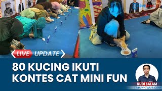 Puluhan Kucing Lucu Ikuti Kontes Cat Mini Fun Makassar, Lomba Makan hingga Fashion Show
