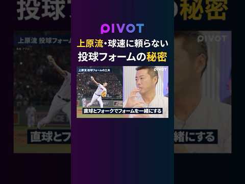 経済経営学科 【上原浩治】誰にも真似出来ない投球フォームの秘密 #pivot #ピボット #上原浩治 #大谷翔平 #野球