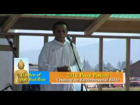 Peace Festival, Part 2