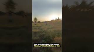 Download lagu tindak lanjuti laporan warga, gercep Polsek Manggala grebek judi Sabung Ayam mp3