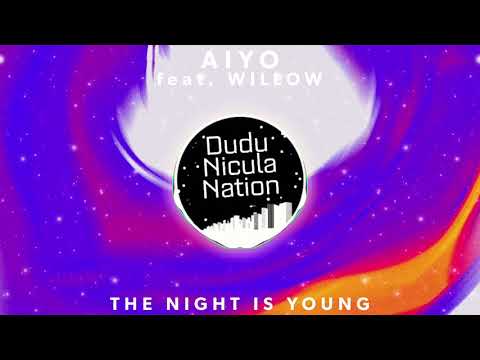 Aiyo feat. Willow - The Night Is Young Bass Boosted