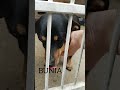 Bunia 0247/23