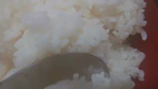飯_115