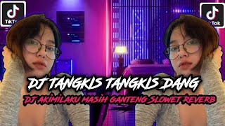 Download lagu DJ TANGKIS TANGKIS DANG X AKIMILAKU MASIH GANTENG Slowet Reverb 🎧 mp3