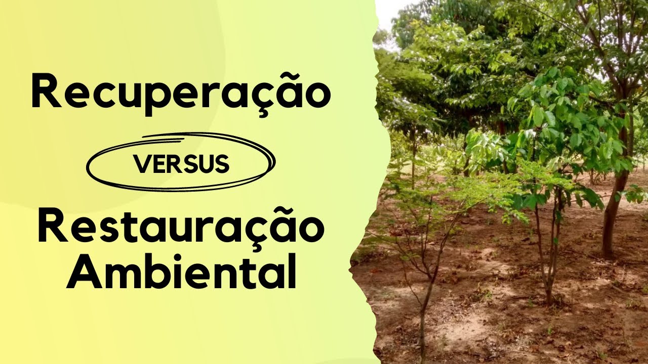 QUAL A DIFERENÇA ENTRE RECUPERAÇÃO E RESTAURAÇÃO AMBIENTAL?