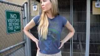 animal shelter visit