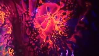 Warren Haynes and Derek Trucks - Black Hearted Woman Jam - 2012.07.22