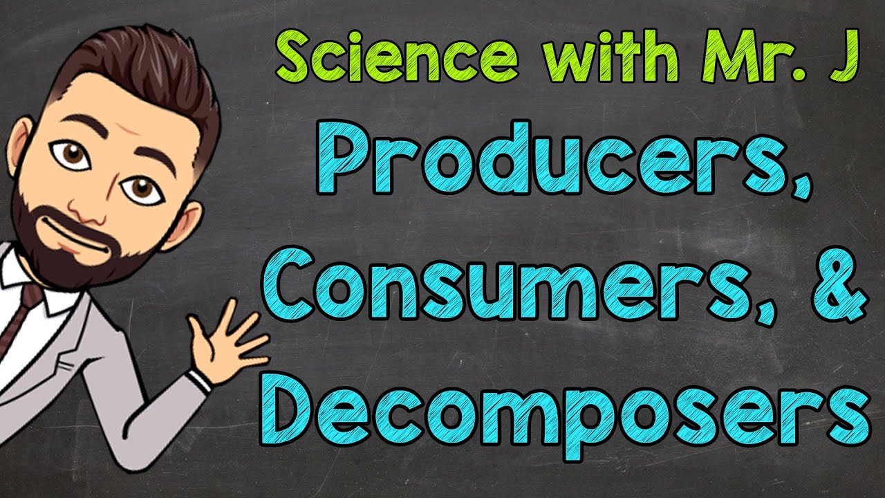What do producers, consumers and decomposers have in common?