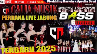 Download lagu CALIA MUSIK PERDANA LIVE JABUNG//WEDDDING DARWIN & APRILIA//Mufid Friends Corp mp3