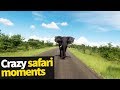 Top 20 Incredible Safari Moments Caught On Camera