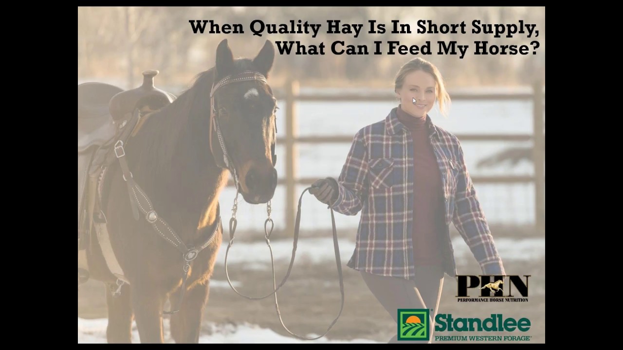 When Quality Hay Is In Short Supply, What Can I Feed My Horse?