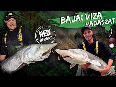 Rokolya Péter – Sturgeon Hunting in Baja