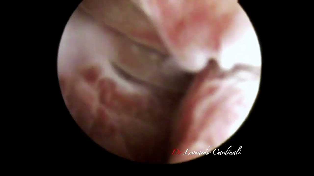 Leonardo Cardinali-12