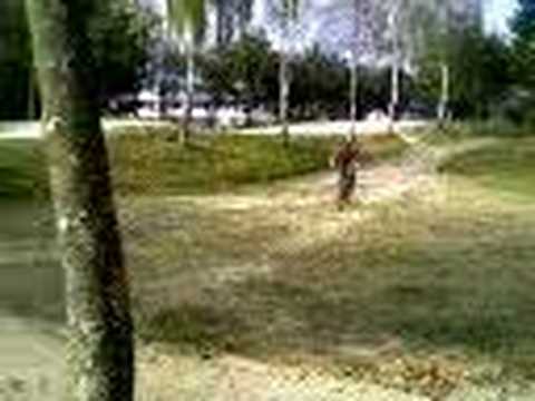 One foot pas très clair