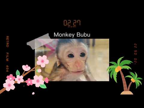 Angry baby monkey wants to get out of the cage