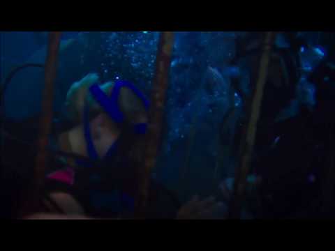 47 Meters Down (Clip 'Not Safe Anymore')