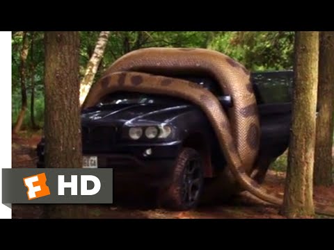レイクプラシッド対アナコンダ（2015年） - アナコンダ対SUVシーン（5/10）｜Movieclips (Lake Placid vs. Anaconda (2015) - Anaconda vs. SUV Scene (5/10) | Movieclips)