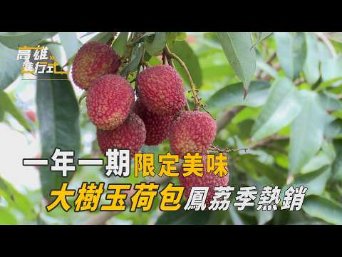 一年一期限定美味 大樹玉荷包鳳荔季熱銷 ◆高雄進行式