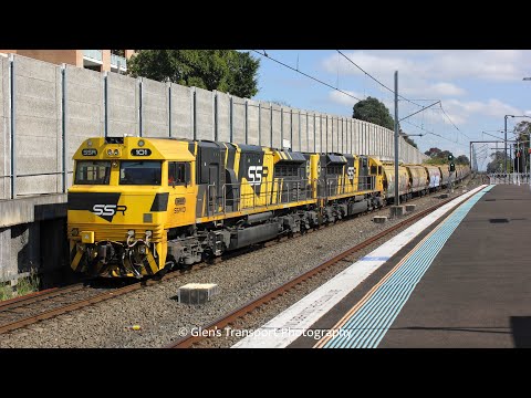 SSR101 and SSR102 on the Yellow Rake