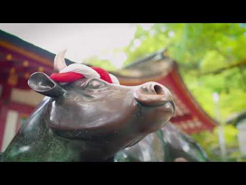太宰府天満宮＠福岡県太宰府市【福岡県観光紹介ショートムービー】